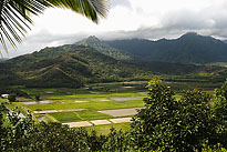 HanaleiValley_0201. Click to enlarge. 