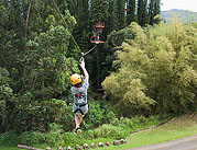 JustLiveZipline_0023. Click to enlarge. 