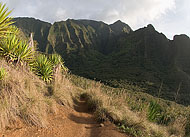 KalalauTrail_0029. Click to enlarge. 
