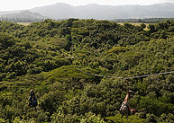 KauaiOutfittersZipline_0030. Click to enlarge. 