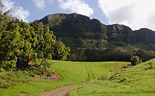 KauaiOutfittersZipline_0031. Click to enlarge. 