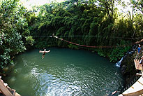 KauaiOutfittersZipline_0037. Click to enlarge. 