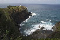 KilaueaPoint_0145. Click to enlarge. 