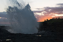 SpoutingHorn_0174. Click to enlarge. 