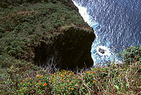 Velvia_KalalauTrail. Click to enlarge. 
