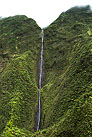 WaialealeHeli_0056. Click to enlarge. 