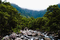 Waialeale_0061. Click to enlarge. 