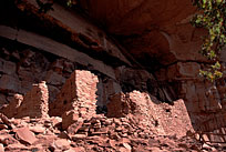 Mruins1. Click to enlarge.
