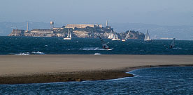 SailingAlcatraz. Click to enlarge.