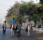 PuneHorses1. Click to enlarge. 