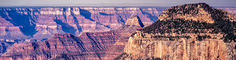 Arizona